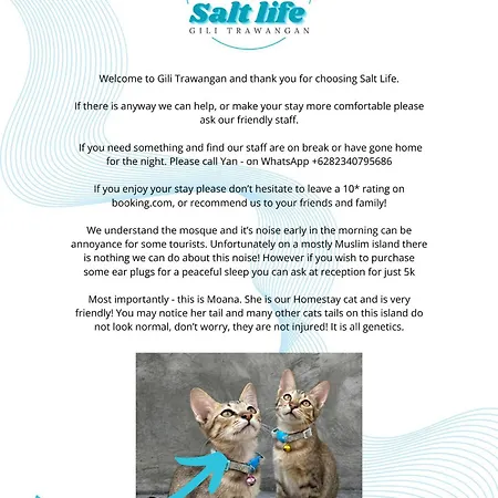 Salt Life Gili Trawangan Apartment Exterior photo
